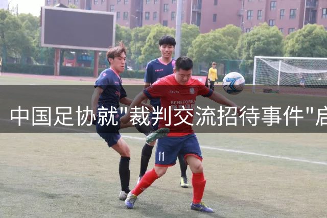 中国足协就"裁判交流招待事件"启动专项调查