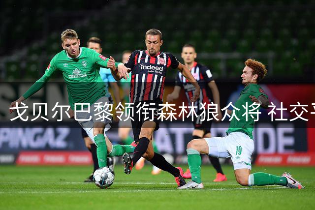 戈贝尔巴黎领衔森林狼众将 社交平台晒团队凝聚力