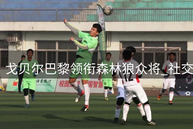 戈贝尔巴黎领衔森林狼众将 社交平台晒团队凝聚力